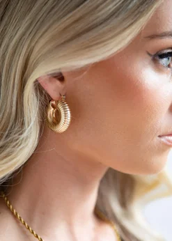 Women Gingham & Heels Jewellery>Olseny Earrings
